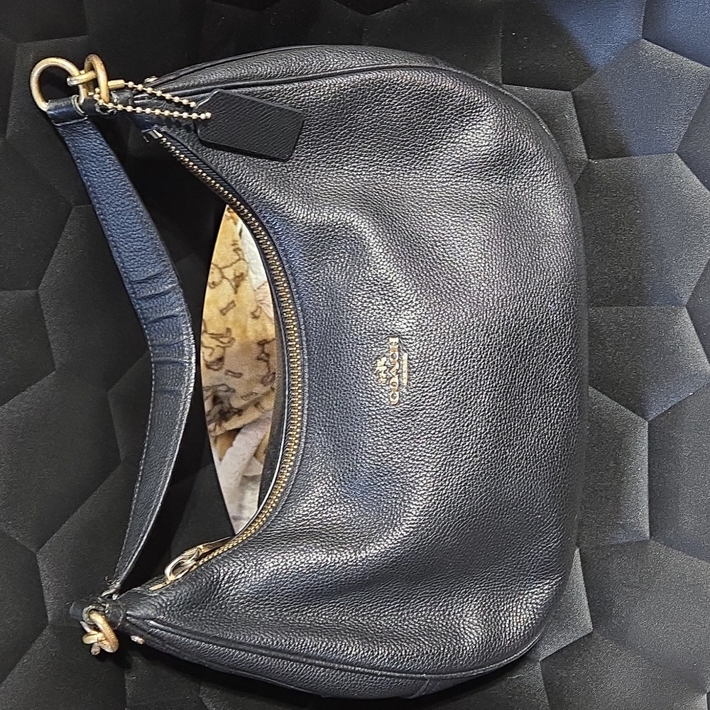 Coach Teri hobo